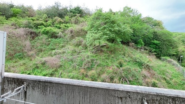 しらさぎメモリアルの物件内観写真